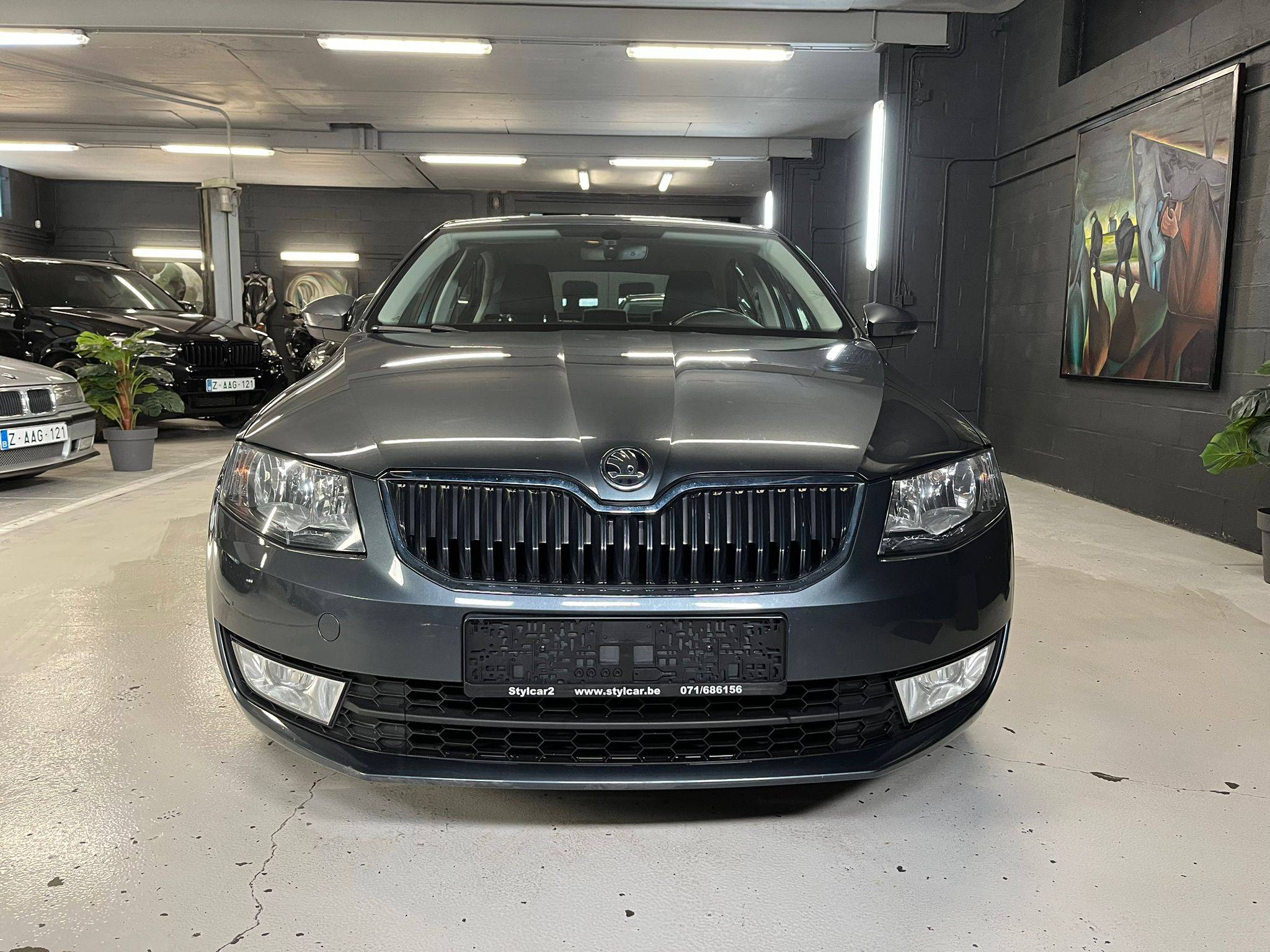 WhatsApp Image 2026-02-10 at 08.26.43 (1)