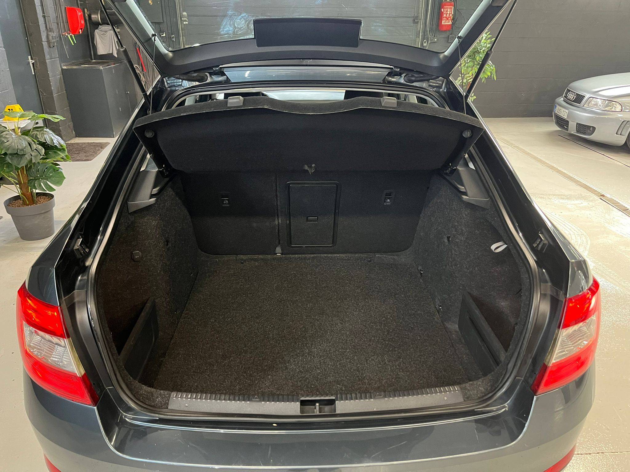 WhatsApp Image 2026-02-10 at 08.26.52 (1)